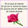 rose_adieu.jpeg, juin 2009 rose_adieu.jpeg